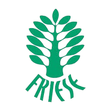 FRIESE GmbH Logo